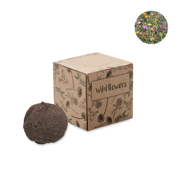 Branded Seed bomb growing kit