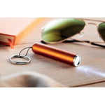 Branded Plastic light up logo torch