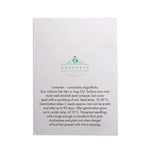 Seed Pack in White Paper Envelope Lavendar