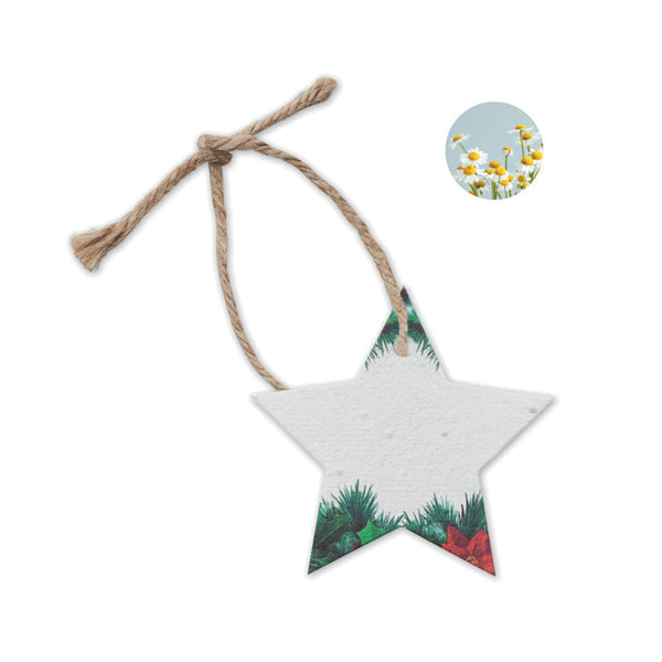 Seed paper Xmas ornament - Star