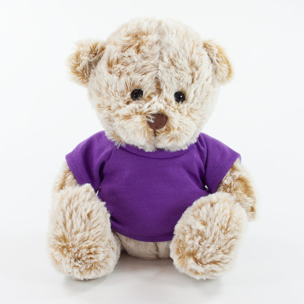 Coloured T-Shirt Bear III 20cm Premier Bear, Fudge