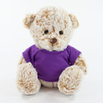 Coloured T-Shirt Bear III 20cm Premier Bear, Fudge