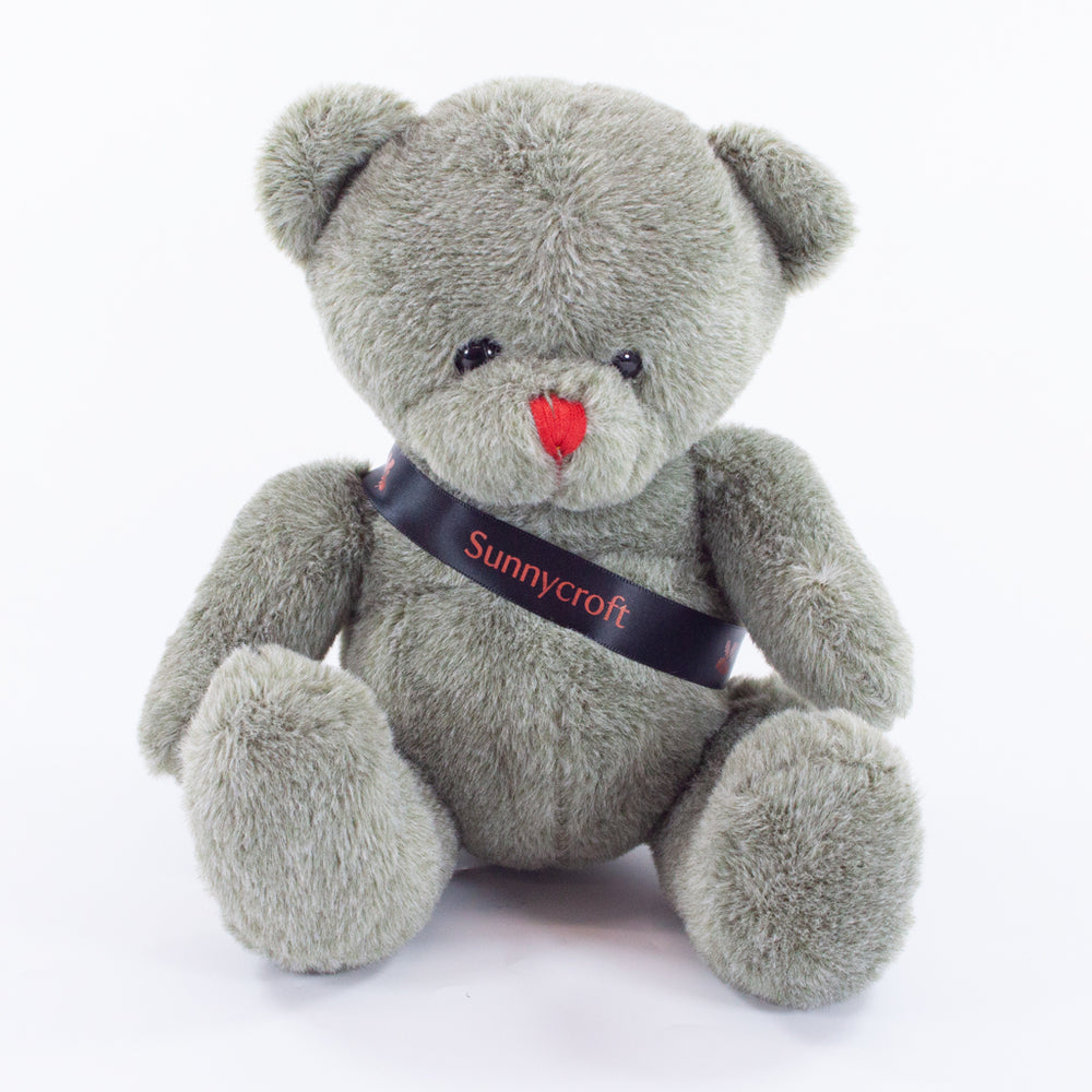 Sash Bear II 20cm Red Nose Bear
