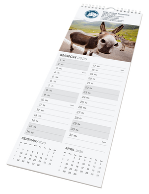 Calendars - Midi Wall.