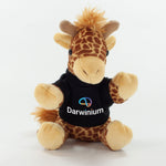 Coloured T-Shirt Animal