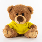 Coloured Hoodie Bear
