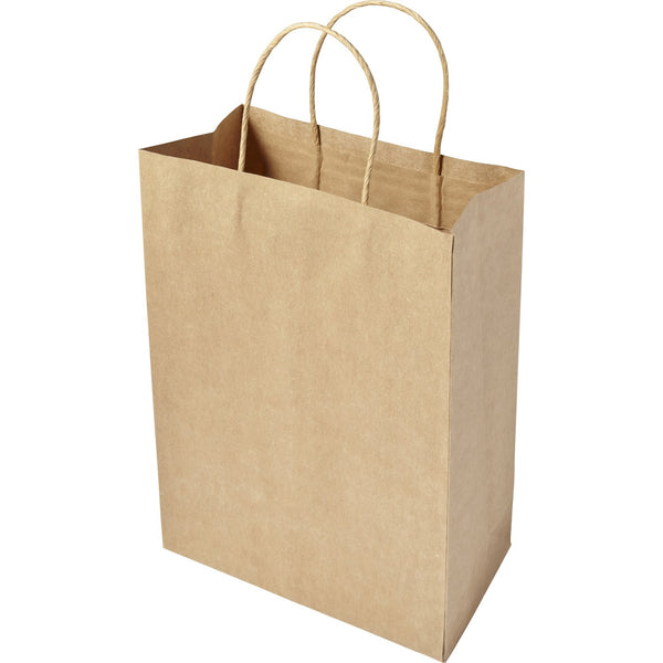 Branded Ground Paper bag (medium)