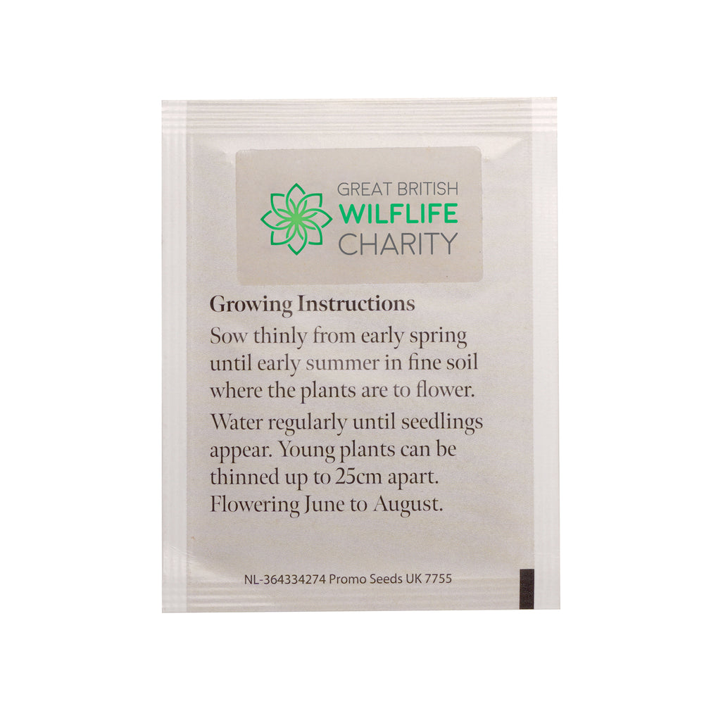 Seed Packet with Sticker to back Corn Flower