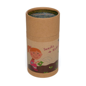 Seed Drum Cardboard Tube Butterfly & Bee Mix