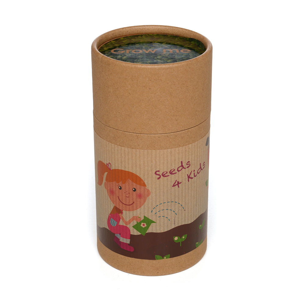 Seed Drum Cardboard Tube Butterfly & Bee Mix