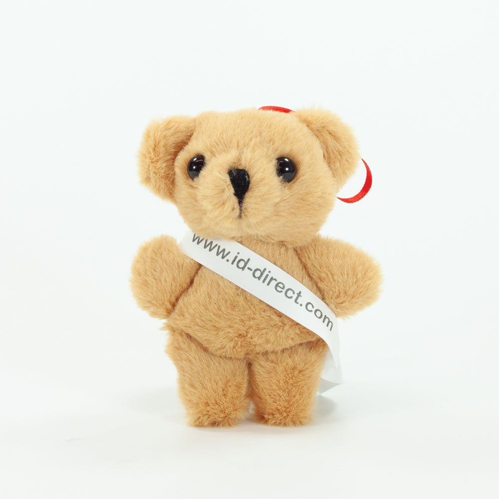 Sash Bear I 10cm Tiny Ted