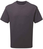 Anthem Unisex Organic Heavyweight T-Shirt Charcoal