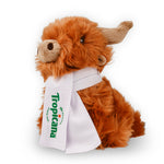 Ravensden Highland cow with Scarf
