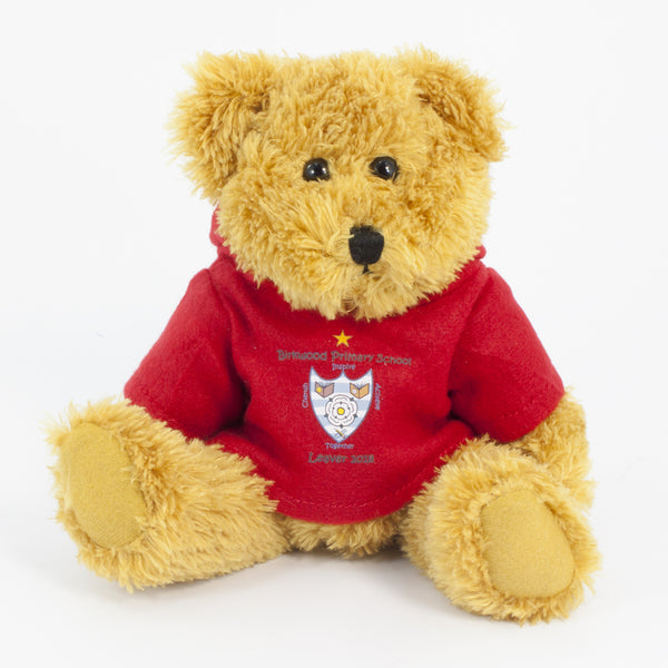 Coloured Hoodie Bear 25cm Sparkie Bear
