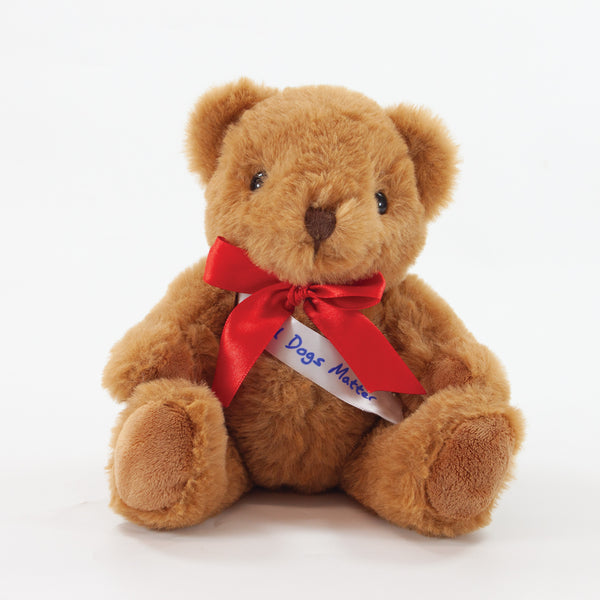 Sash Bear II 20cm Jasper Bear