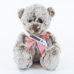 Sash Bear II 20cm Premier Bear, Cocoa