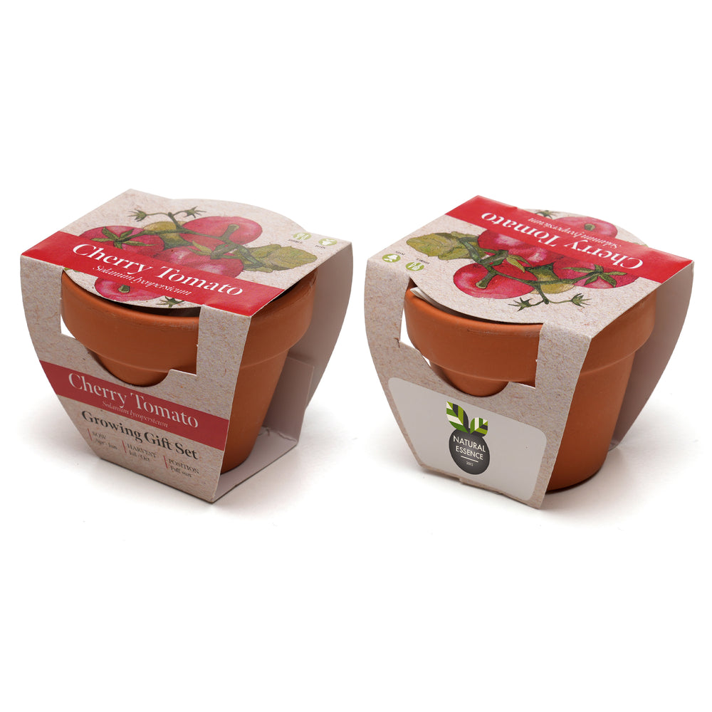 Growing Gift Cherry Tomato