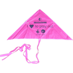 Branded Delta kite
