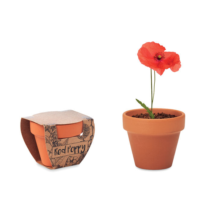 Branded Terracotta Pot with Seeds