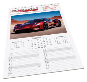 Calendars - Maxi Wall.