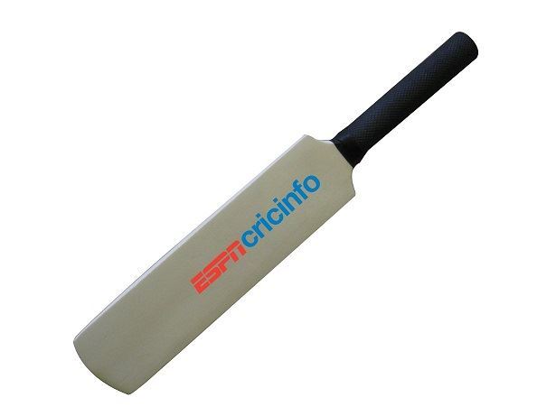 Branded Mini Cricket Bat