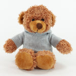 Coloured Hoodie Bear