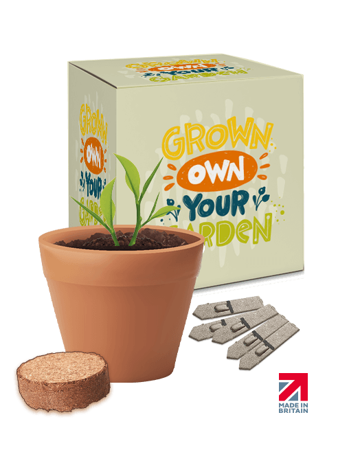Boxed Pot Gardens
