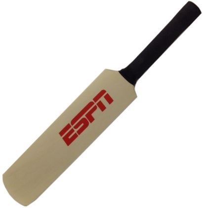 Mini Cricket Bat