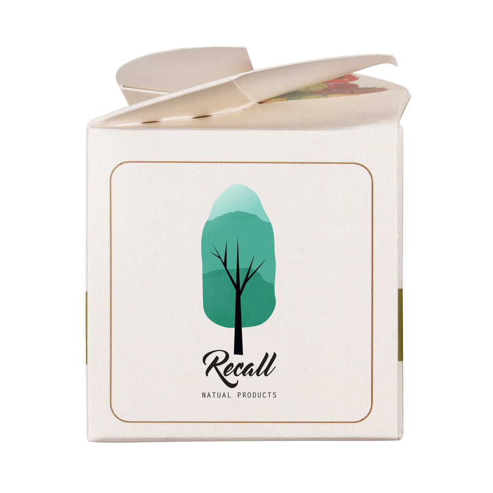 Mini Box Kit Vegetable Patch