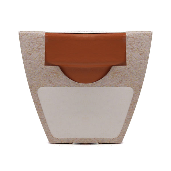 Growing Gift Forget-me-not