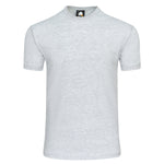 Orn Plover Premium T-Shirt Ash