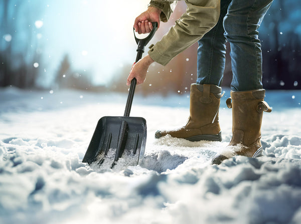 The Zaya - Snow shovel