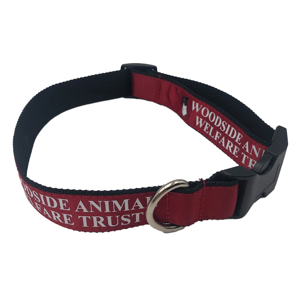 Custom Printed Satin Applique Dog Collar