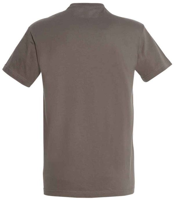 SOL'S Imperial Heavy T-Shirt Zinc