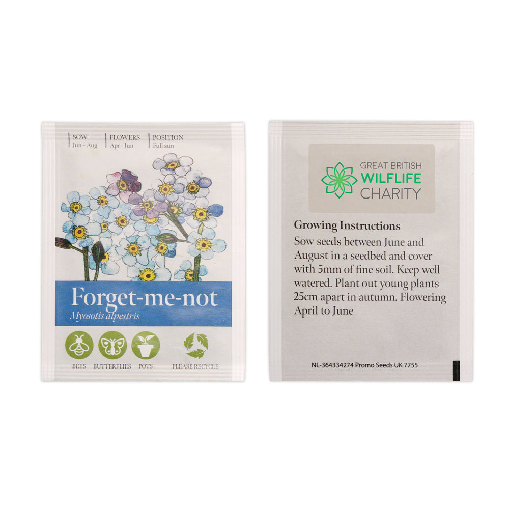 Seed Packet with Sticker to back Forget-me-not