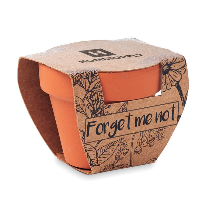Terracotta Pot with Seeds