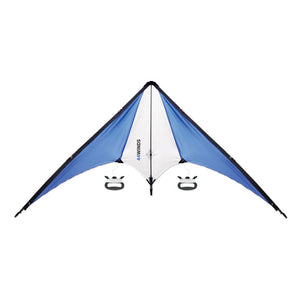Delta kite