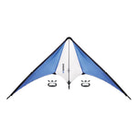 Branded Delta kite