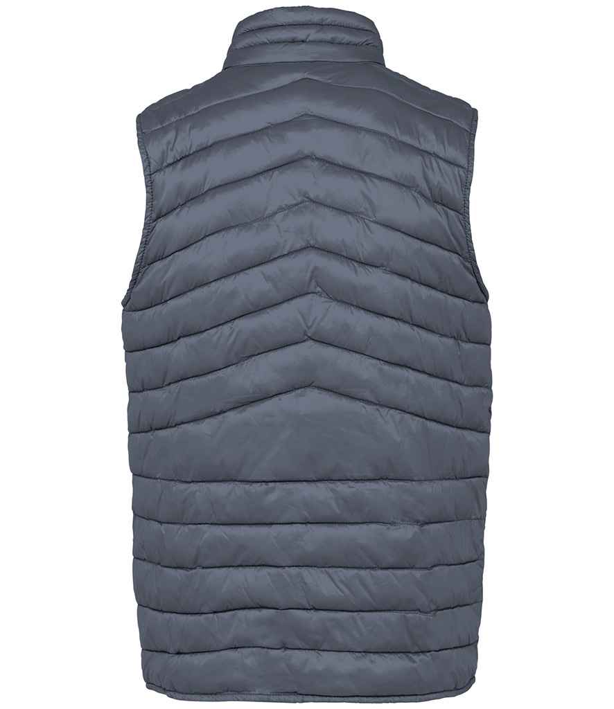 Native Spirit Light Recycled Bodywarmer Mineral Grey