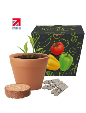 Recycled Pot Gardens