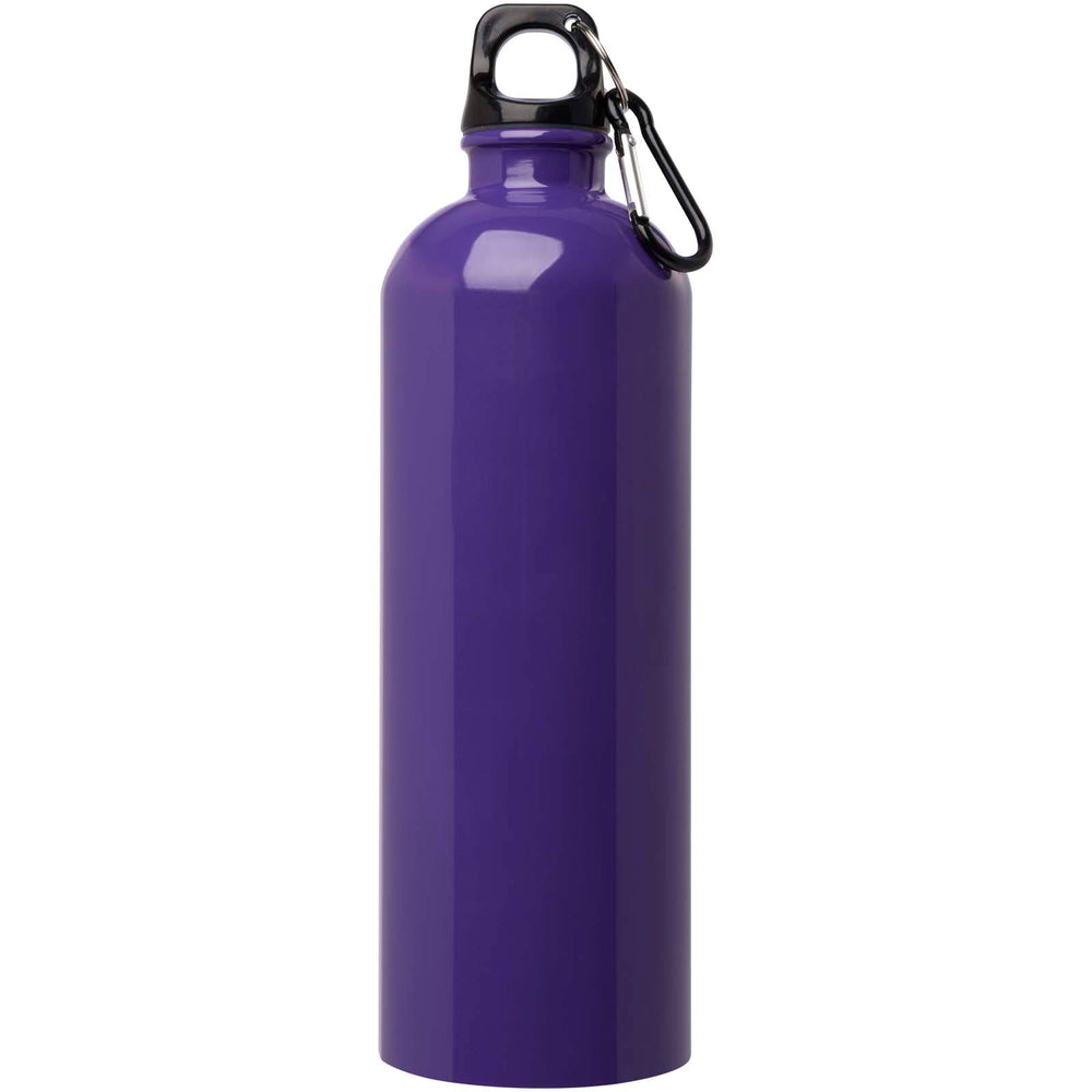 Oregon 750 ml RCS certified single wall stainless steel water bottle with carabiner