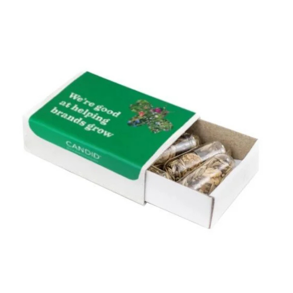 Candid Seed Pill Box