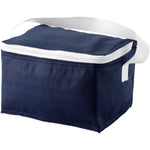 Branded Spectrum 6-can cooler bag 4L