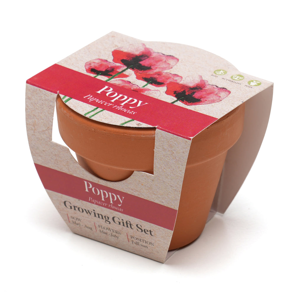Growing Gift Poppy