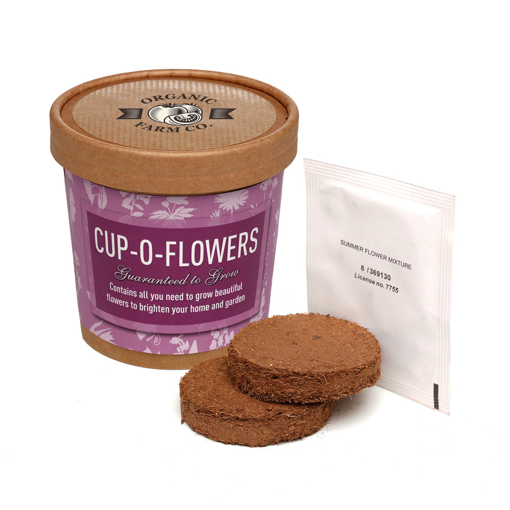 Seed Pot Cup'o Cardboard Pot Summer Flowers