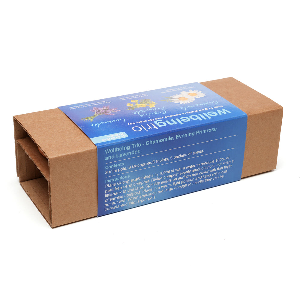 3-in-1 Garden Trio Welbeing Mix