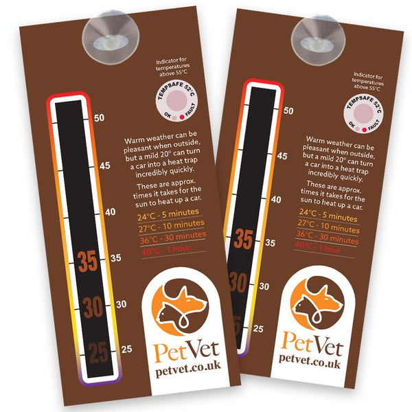 In Car Temperature Gauge Card with Optional Two-Sided Print