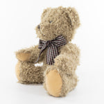 Coloured T-Shirt Bear III