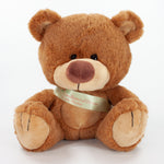Sash Bear II 25cm Charlton Bear, Caramel