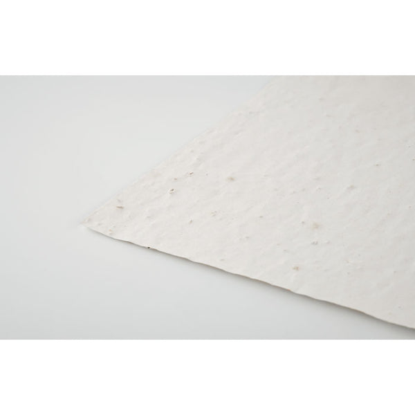 Branded A4 wildflower seed paper sheet